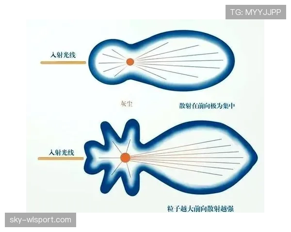 深入解析篮球规则中无球犯规的定义与判罚依据 深入解析篮球规则中无球犯规的定义与判罚依据